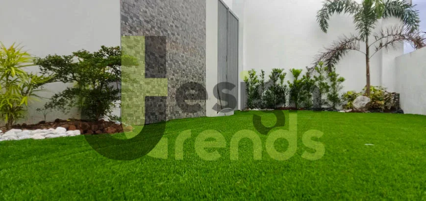 football-grass-philippines-073024-fake